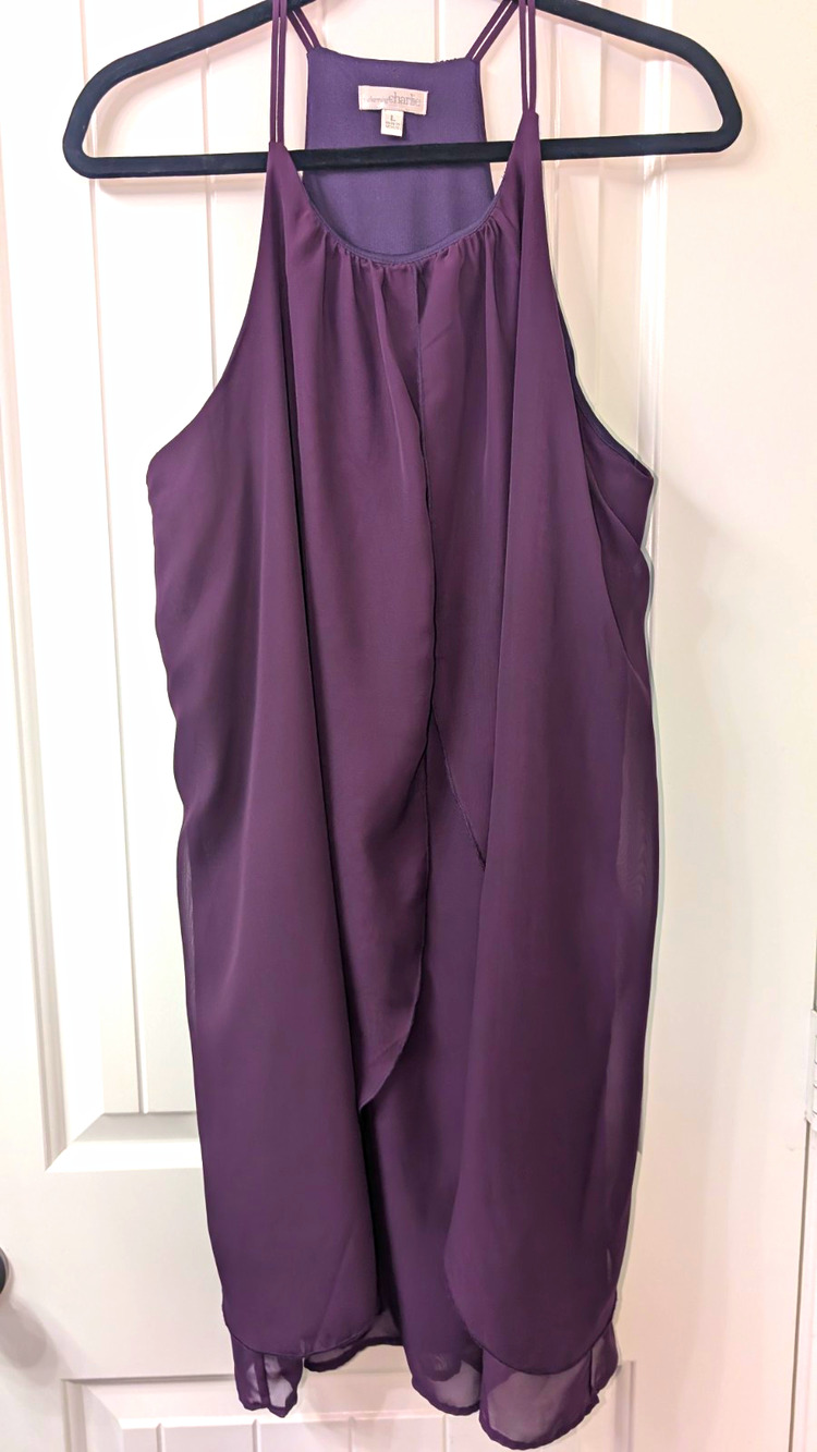 Charming Charlie Purple Solid Halter Sleeveless Chiffon Layered Lined L
